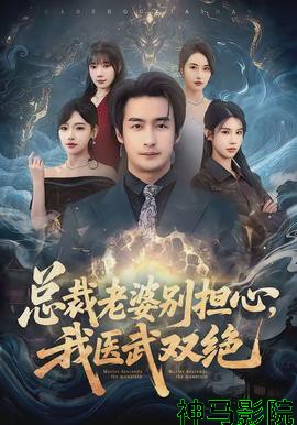 总裁老婆别担心，我医武双绝